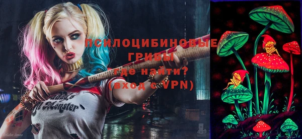 МДПВ Михайловка