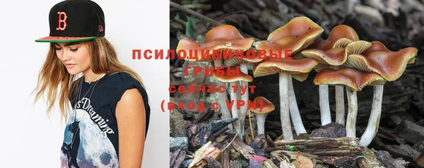 МДПВ Михайловка
